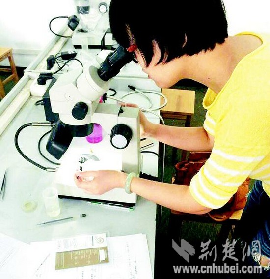 高校現(xiàn)“土豪課堂”130顆半克拉鉆石任學(xué)生“把玩”