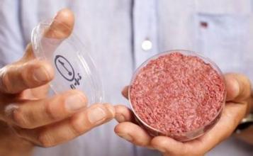 科學(xué)家：人造肉將掀肉食界革命味道媲美真肉（圖）