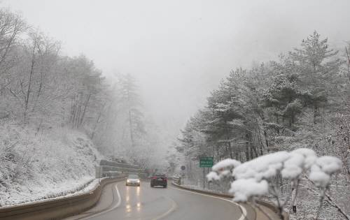 韓國首爾降下今年冬天首場雪比去年晚11天（圖）