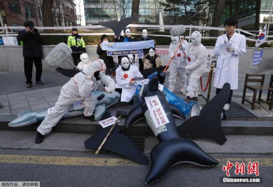 當地時間12月7日，環境保護團體成員聚集在日本駐韓國大使館前，抗議日本在南極地區捕鯨。