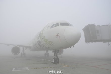 成都雙流機場大霧致大面積航班延誤 萬名旅客滯留【6】