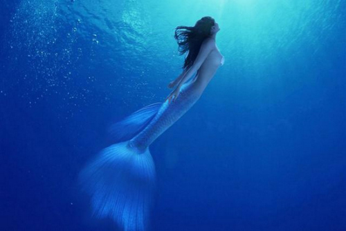 資料圖：美人魚