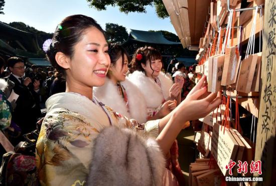 資料圖：日本的導游小姐們在東京提前慶祝“成人節”，她們身著和服在日本明治神宮內舉行慶祝儀式。