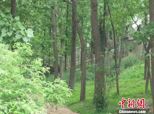 宿遷發生一家三口兇殺案疑似邳州殺童案嫌犯連環行兇