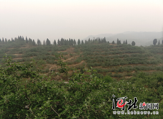 【網(wǎng)絡(luò)媒體走轉(zhuǎn)改】追記李保國教授:心之所在 魂歸太行