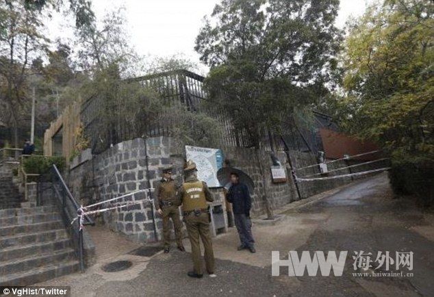 男子全裸跳進獅籠喂獅子 自稱是先知