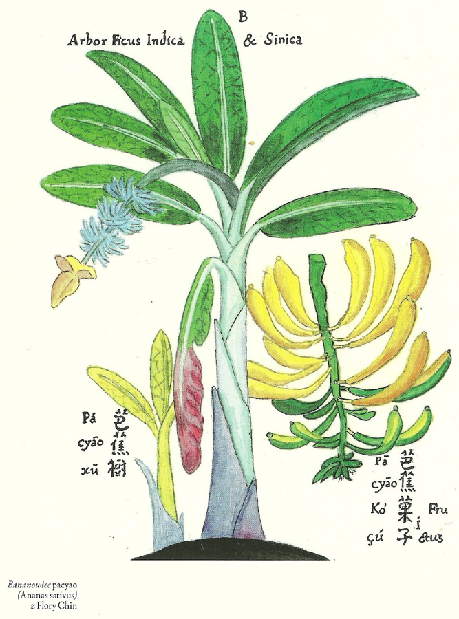 圖片默認標題