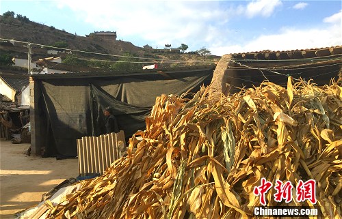 武玉萍家的院子一角。中新網 種卿 攝