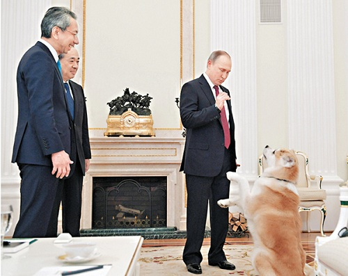 普京帶秋田犬見日本記者狗不停吠叫場面一度混亂