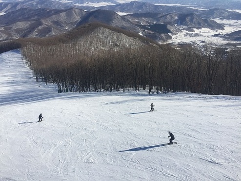 國內最長的高山初級滑雪賽道