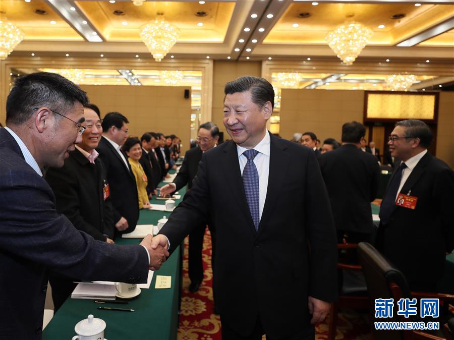 （兩會）習(xí)近平看望參加政協(xié)會議的民進農(nóng)工黨九三學(xué)社委員