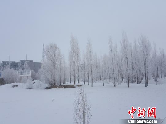 新疆阿勒泰出現大霧降溫天氣局地最低氣溫降至-16℃