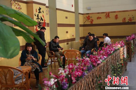 沈陽鐵路局清明節(jié)開行踏青賞春動車和鄉(xiāng)村小火車