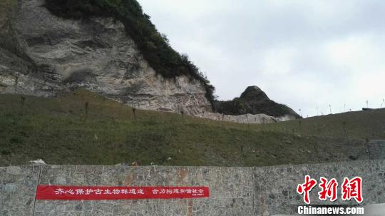 甕安叫停古生物群化石核心產地和經典地質剖面采礦