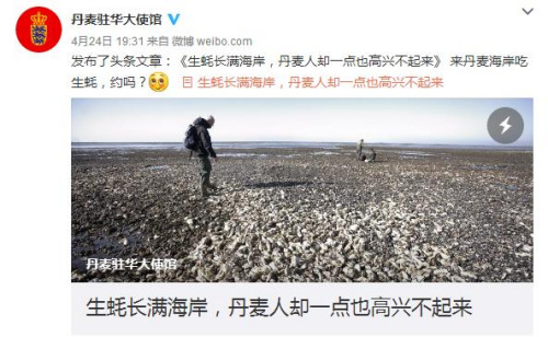 日前，丹麥駐華大使館因本國生蠔泛濫成災，特發文求助網友。圖為網絡截圖