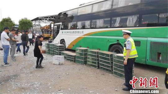 湖北兩長途客車車廂暗藏“飛禽走獸”被高速民警查獲