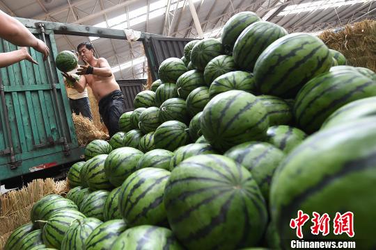 高溫天氣來襲西瓜銷售走俏