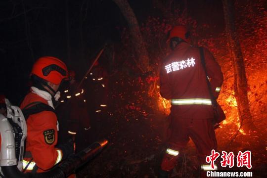 內蒙古大興安嶺一日發生三起森林火災已全部合圍