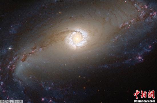 美國宇航局公布的哈勃望遠鏡捕捉到的距離地球4500萬光年的NGC1097星系壯麗恒星環照圖。