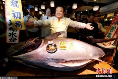 資料圖：此前，東京筑地水產(chǎn)市場(chǎng)進(jìn)行金槍魚買賣交易。