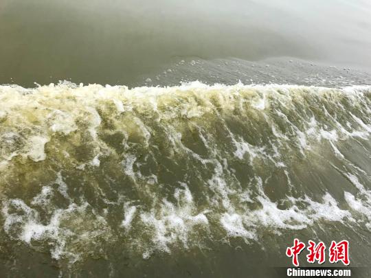 浙江寧波象山海域發(fā)現(xiàn)有毒赤潮未發(fā)現(xiàn)魚(yú)貝類(lèi)死亡