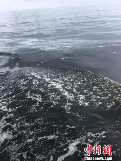 浙江象山海域赤潮處消亡階段無食用水產品中毒現象