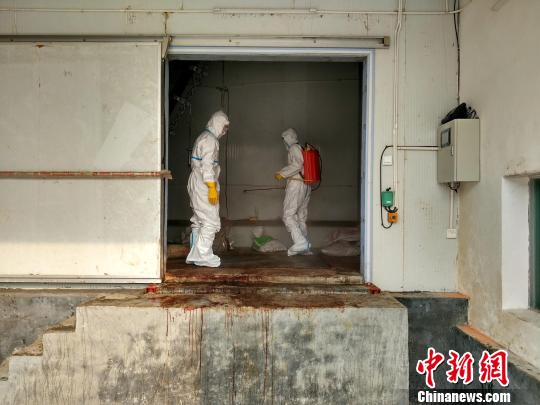 湖南加速畜牧業綠色循環發展釋放“生態紅利”