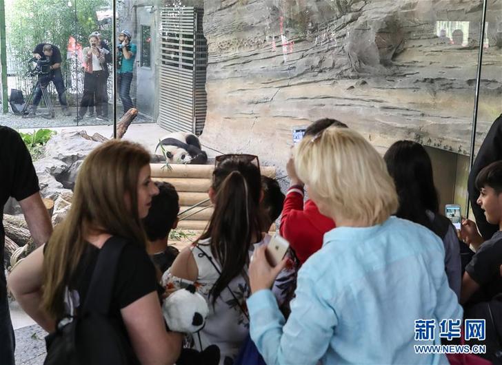 （國際）（3）柏林：爭先恐后看熊貓