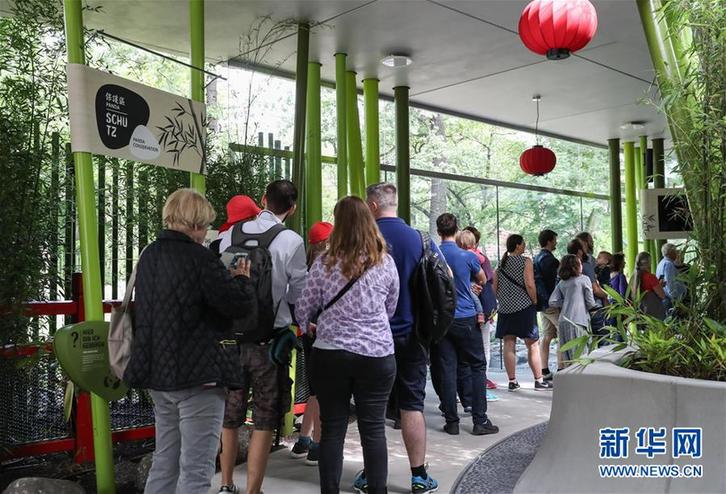 (國際)(4)柏林:爭先恐后看熊貓