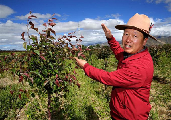 【中國夢實踐者】哎呦,有這樣一個好地方