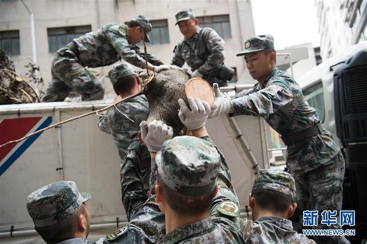 （圖文互動）（1）風雨未消再集結——駐澳部隊“帕卡”過后第一時間繼續救災