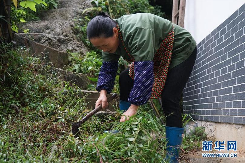 （十九大時光·圖文互動）（1）解難題，辦大事；不懈怠，謀復興——來自基層蹲點現場的報道