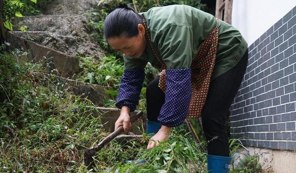 （十九大時光·圖文互動）（1）解難題，辦大事；不懈怠，謀復興——來自基層蹲點現場的報道