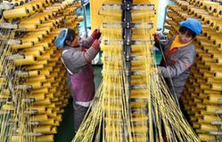 （十九大·讀報告 話民生）（7）提高就業質量和人民收入水平