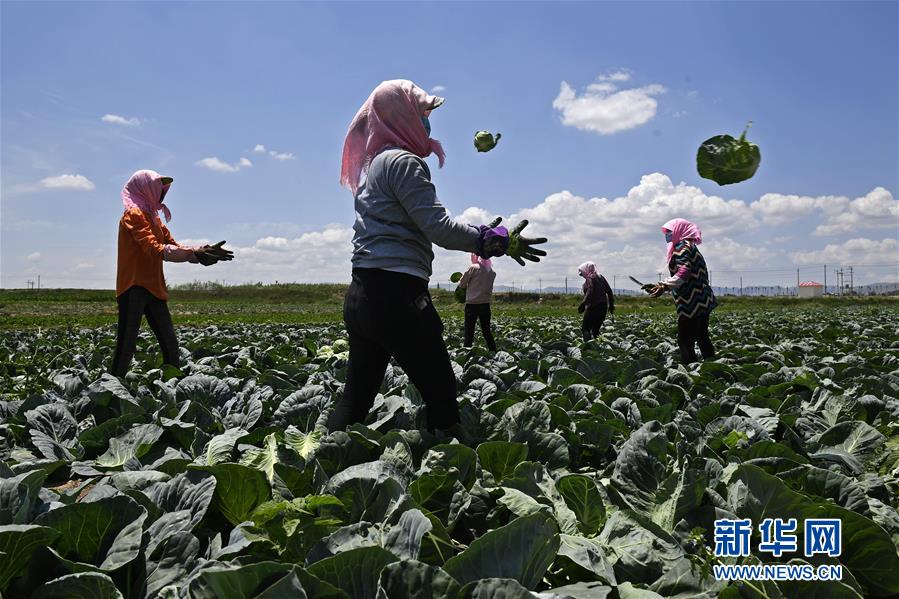 （十九大·讀報告 話民生）（16）提高就業質量和人民收入水平