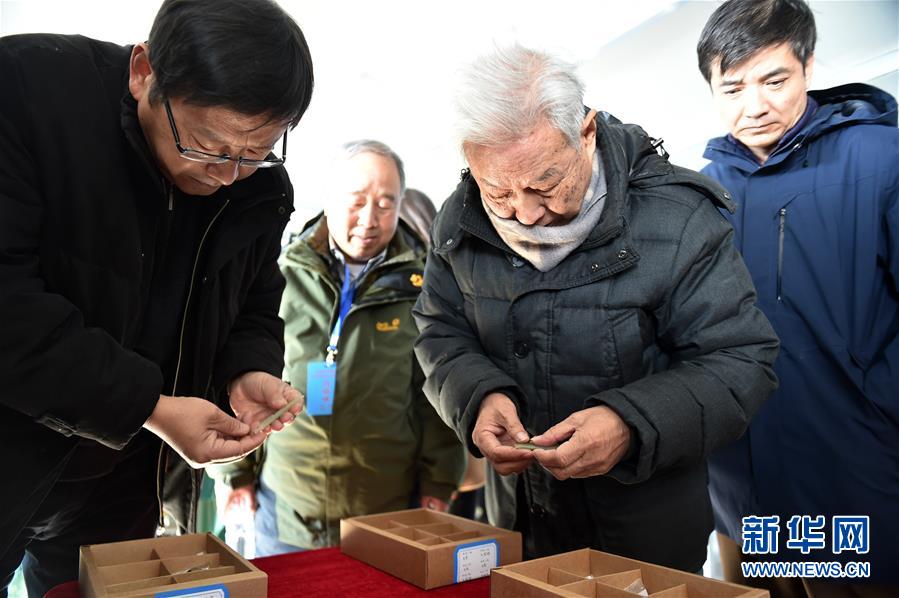 (圖文互動)(4)寧夏彭陽縣發現商周遺址 專家推斷墓葬系諸侯級別