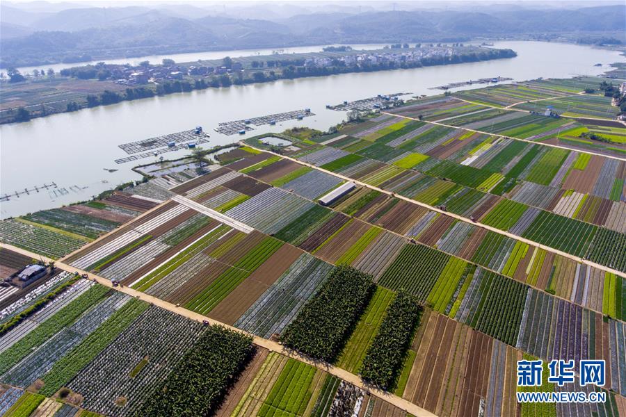 #（環境）（2）錦繡田園