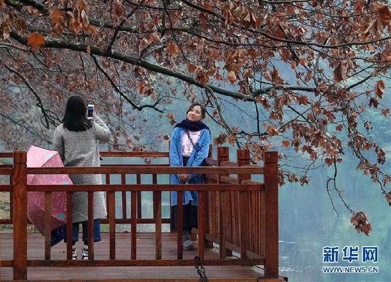#(經(jīng)濟(jì))(3)元旦小長(zhǎng)假期間全國(guó)共接待國(guó)內(nèi)游客1.33億人次