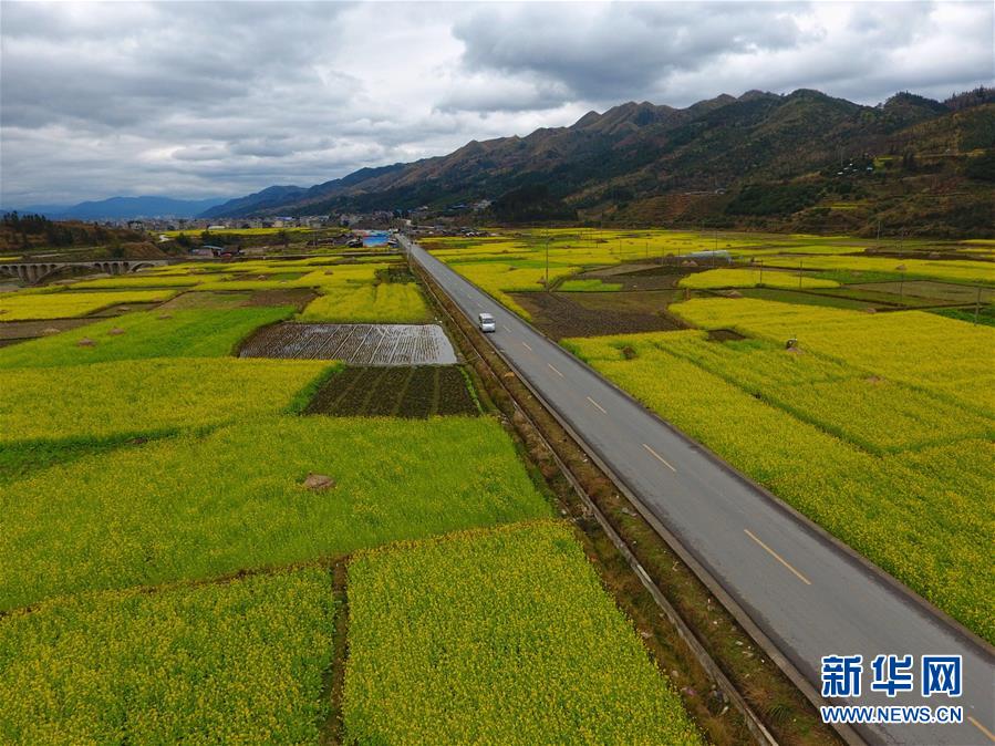 （新華全媒頭條·新時(shí)代新氣象新作為·圖文互動(dòng)）（10）抬腳踏上水泥路，出門坐上公交車——我國(guó)竭力破除農(nóng)村交通“最后一公里”瓶頸