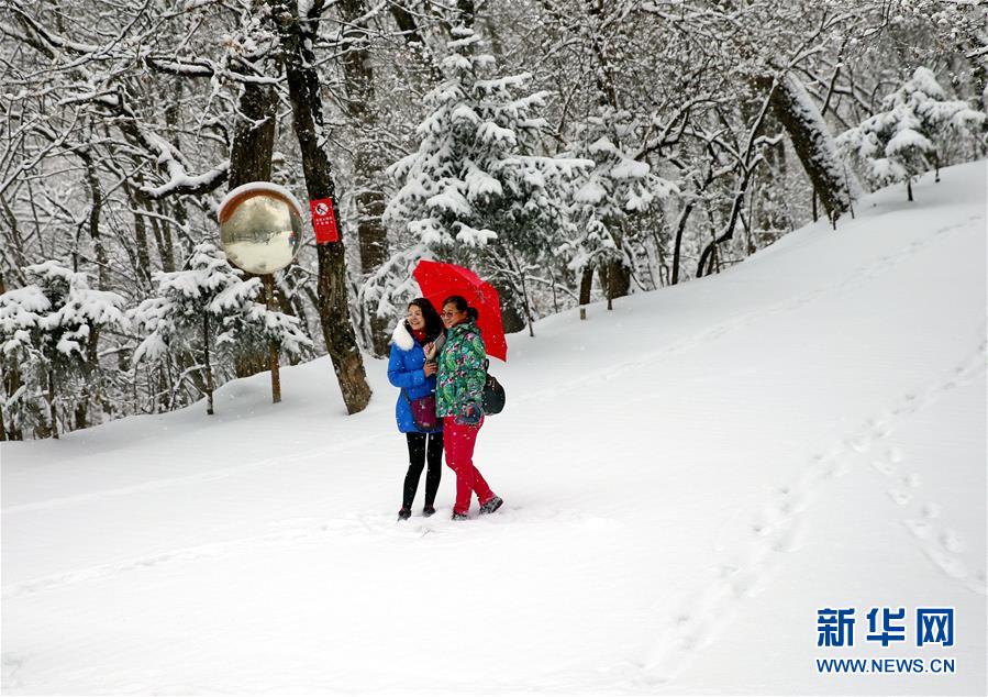 #（環(huán)境）（1）多地迎來降雪 