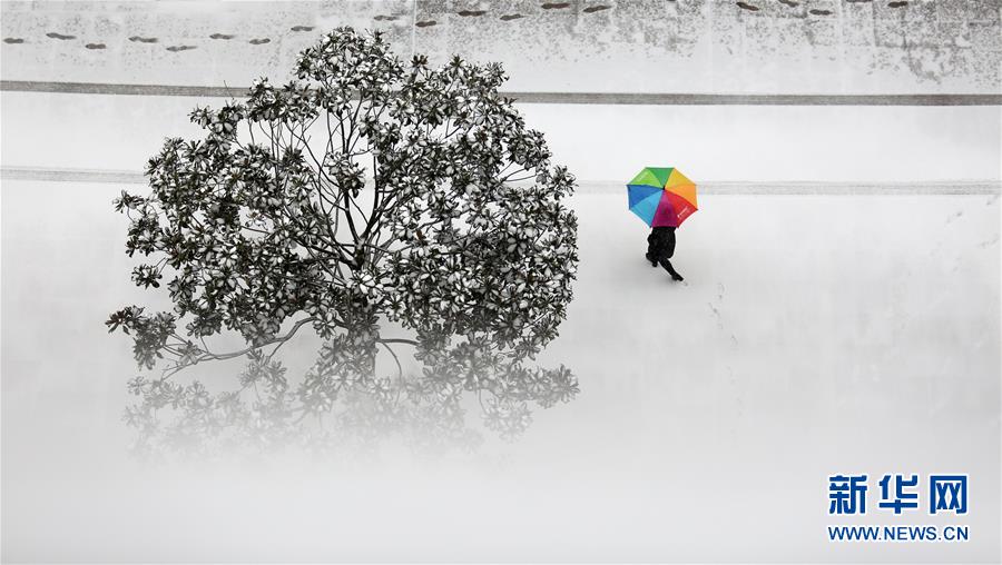 #(環(huán)境)(3)我國多地迎來強降雪