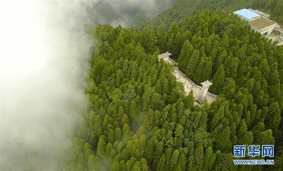 (社會)(23)天空之眼瞰歷史