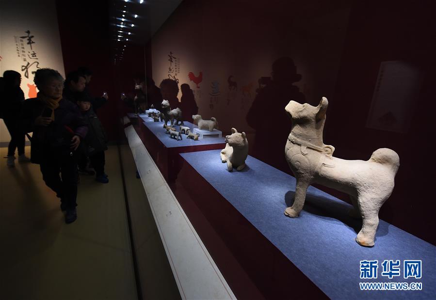 (文化)(3)南京博物院舉辦“幸運(yùn)狗”院藏犬文物展