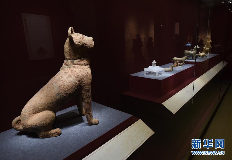(文化)(2)南京博物院舉辦“幸運(yùn)狗”院藏犬文物展