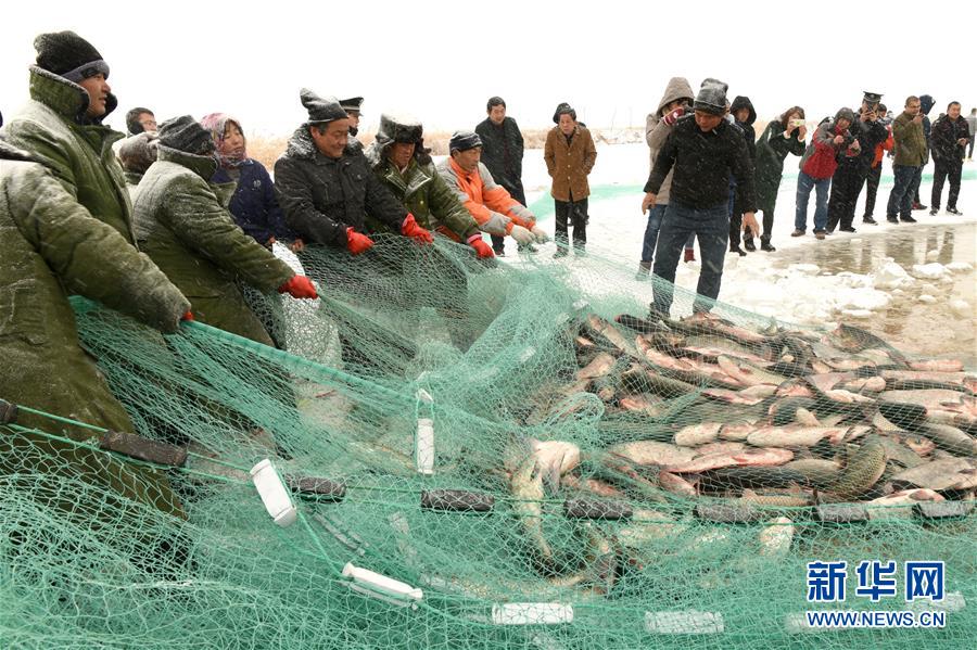 #（社會）（1）人歡魚躍冬捕忙