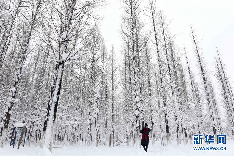#(社會)(5)雪落人間