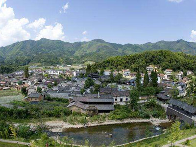 走好鄉村振興道路 實現農業農村現代化