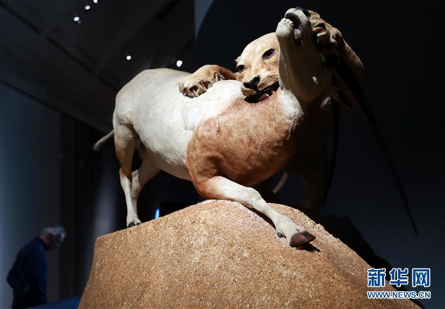 （國際）（4）法蘭克福席爾恩美術館舉辦“立體透視劇場”展