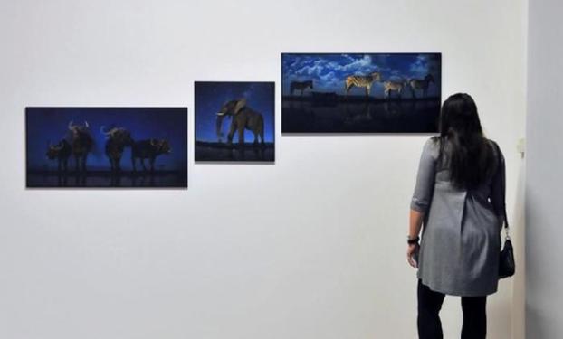 （XHDW）（4）第60屆荷賽獲獎作品展在波蘭托倫舉行