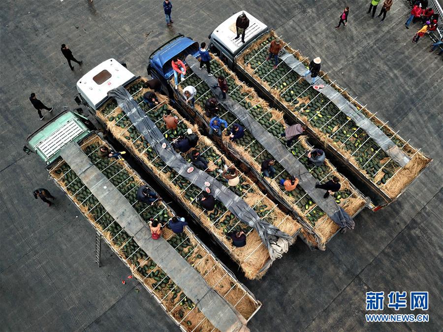 (新時代新氣象新作為·圖文互動)(10)廣西:“四維支撐、四沿聯(lián)動”構建開放新格局